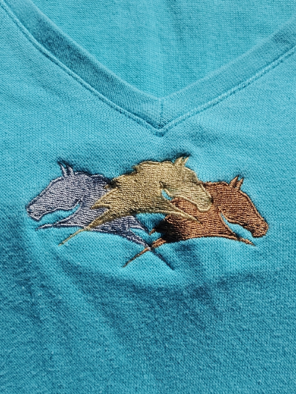 Pat Parelli Shirt